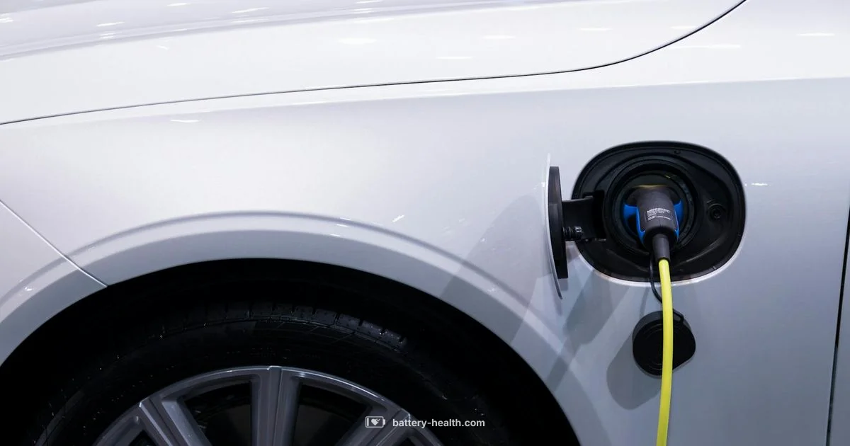 Quick Disconnect Plug - Battery Health