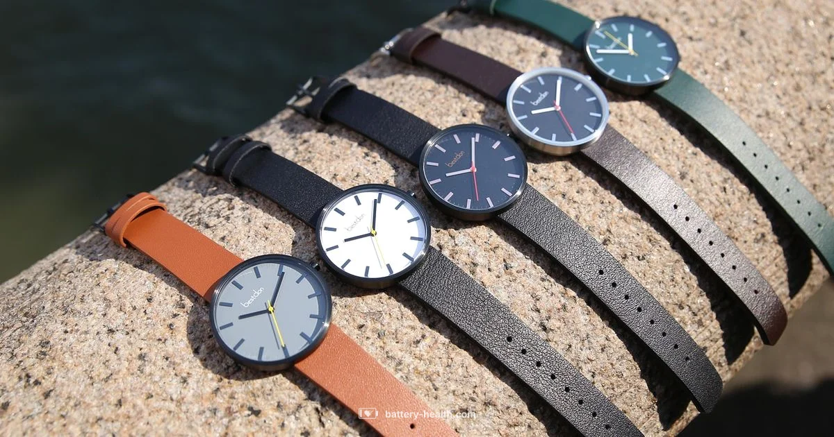 626 Battery Equivalents - Battery Health