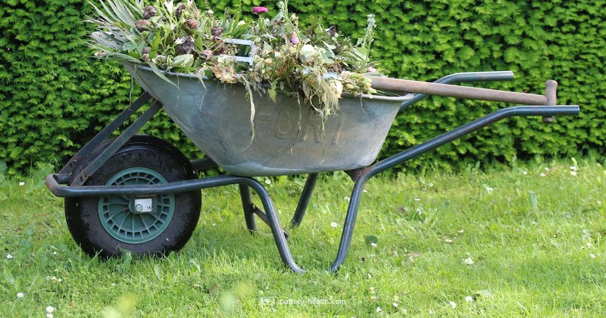 Best Battery Weed Eater Best Battery Weed Eater - Battery Health