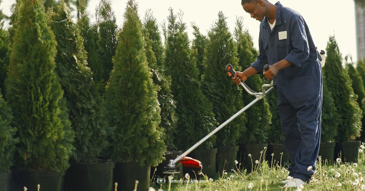 Cordless Power Blower - Battery Health