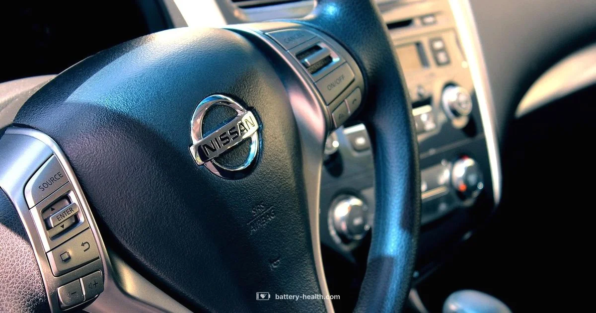 Nissan Key Fob Battery - Battery Health