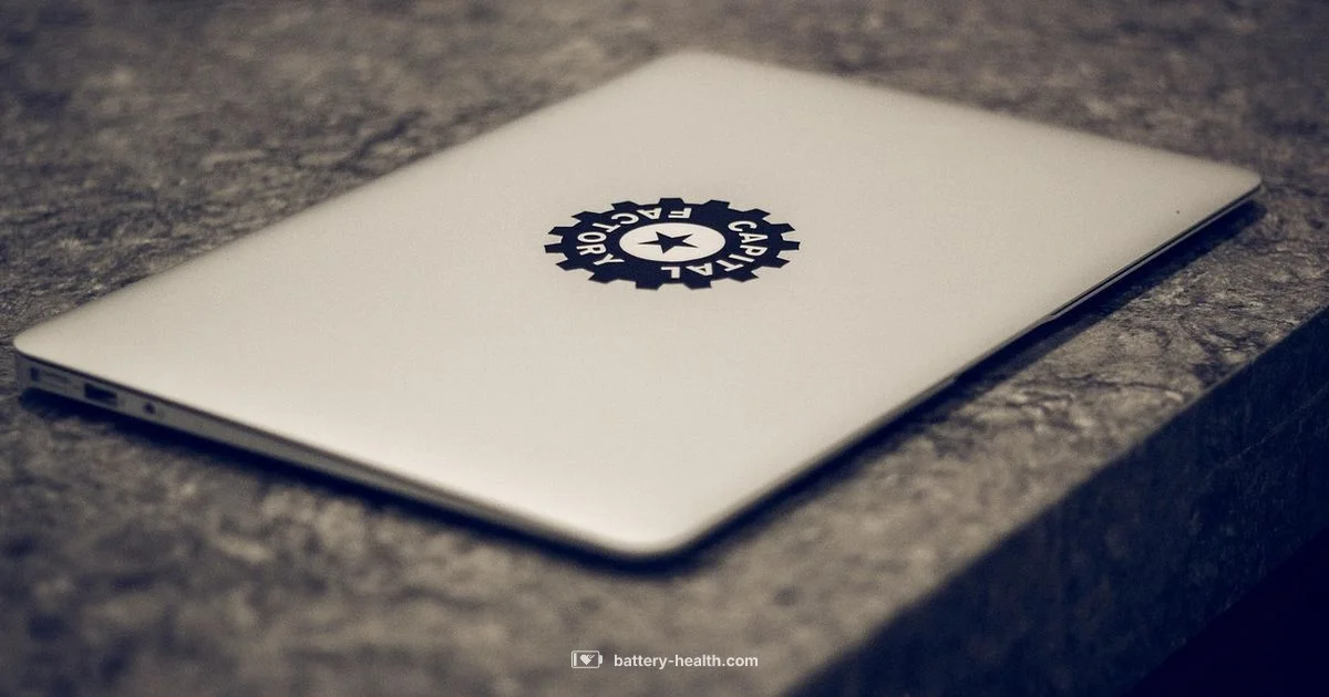 MacBook Air Charging Issue - Battery Health