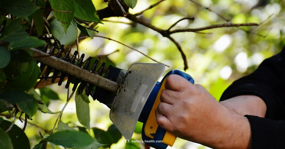 Stihl Battery Guide - Battery Health