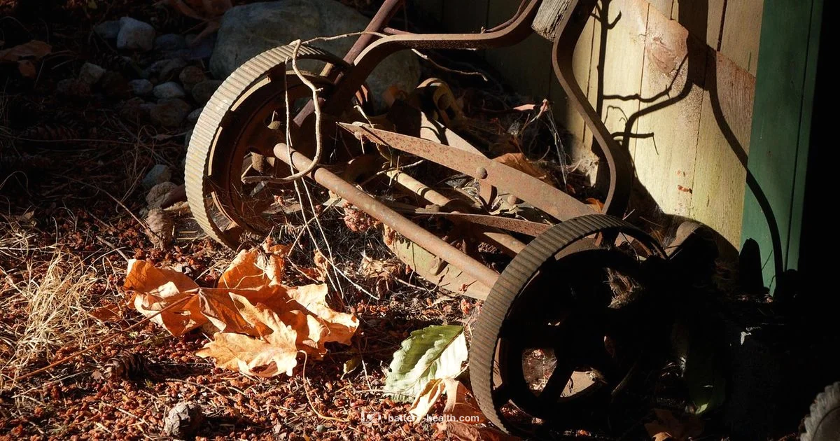 12V Lawn Mower Battery - Battery Health