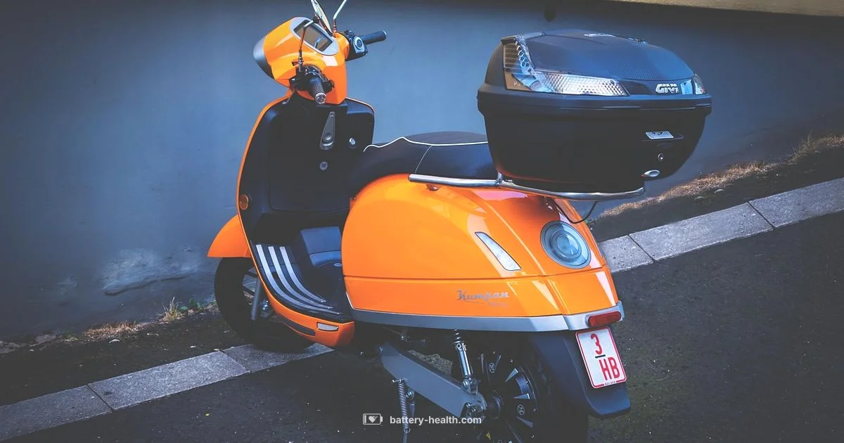 Razor Charger Guide - Battery Health