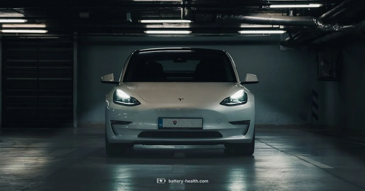 Car Battery Charge - Battery Health