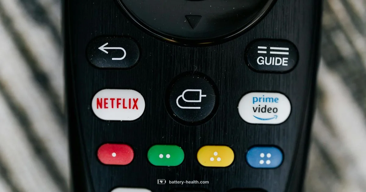 Remote Battery Guide - Battery Health