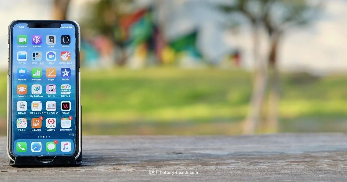 Case Battery Guide - Battery Health