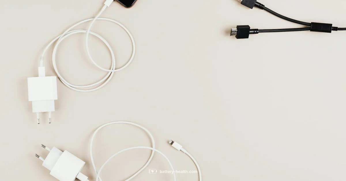 Battery Charger Basics - Battery Health