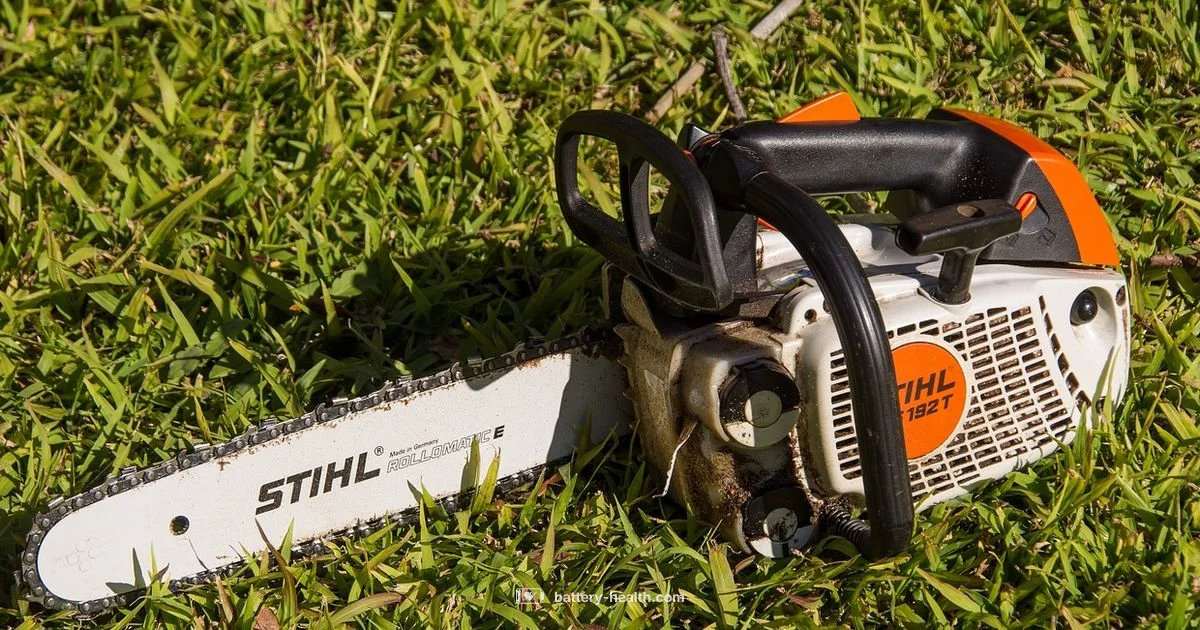 Stihl Cordless Chainsaw - Battery Health