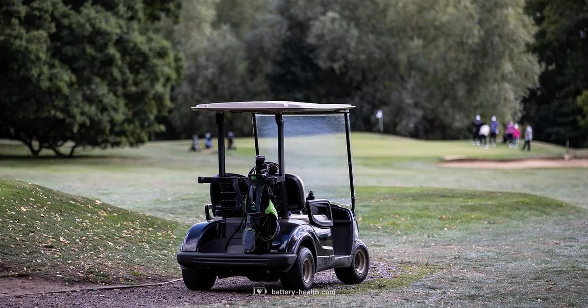 36V Golf Battery 36V Golf Battery - Battery Health