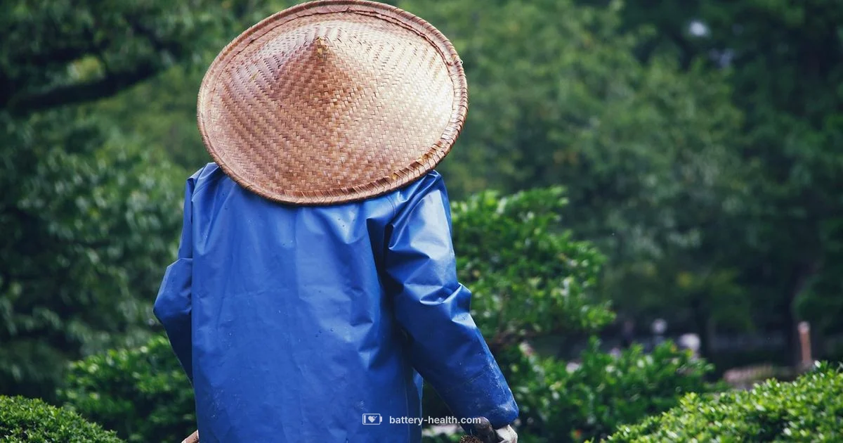 Yard Blower Essentials - Battery Health