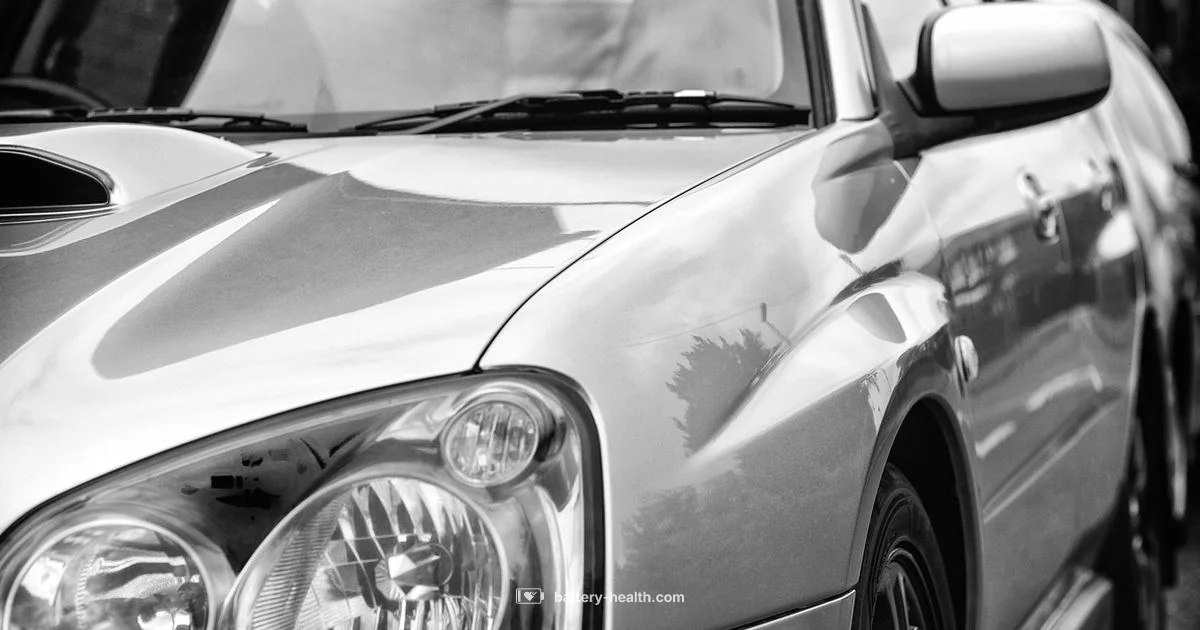 Key Fob Battery Key Fob Battery - Battery Health