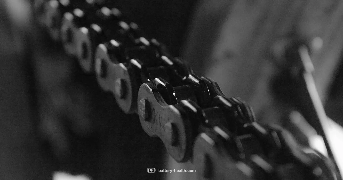 YTX20L BS Battery - Battery Health