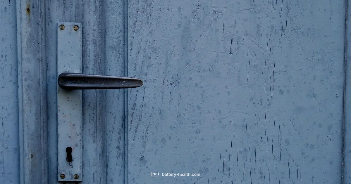 Lock Battery Guide - Battery Health