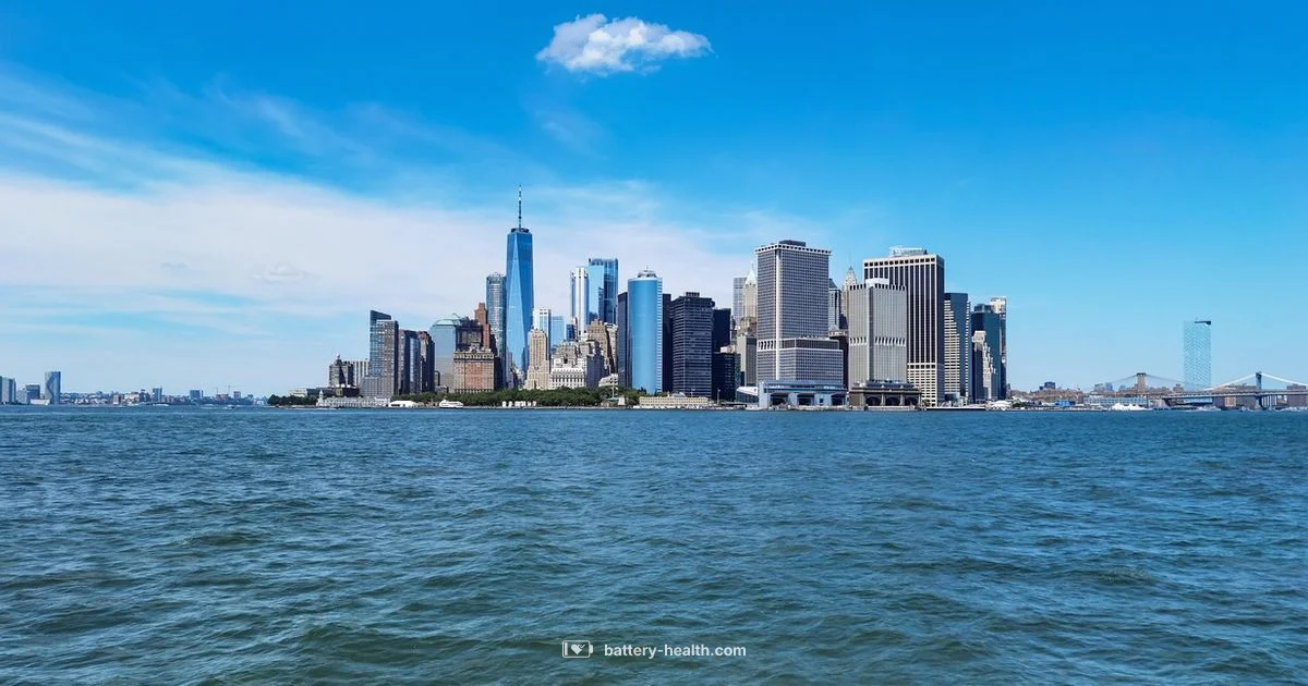 Battery Park Overview Battery Park Overview - Battery Health
