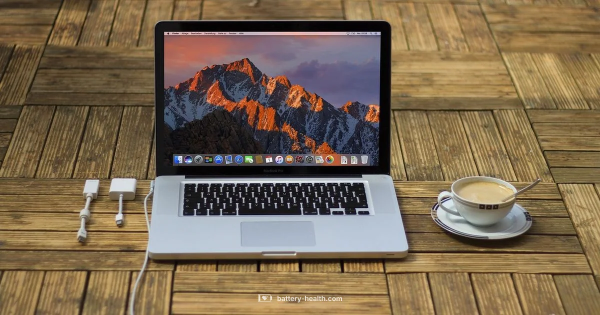 Mac Charging Fix - Battery Health