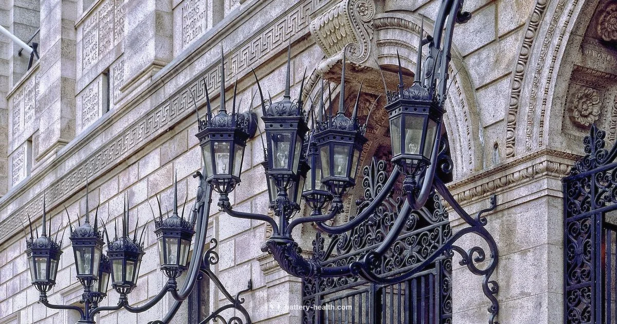 Battery Park Library Overview - Battery Health