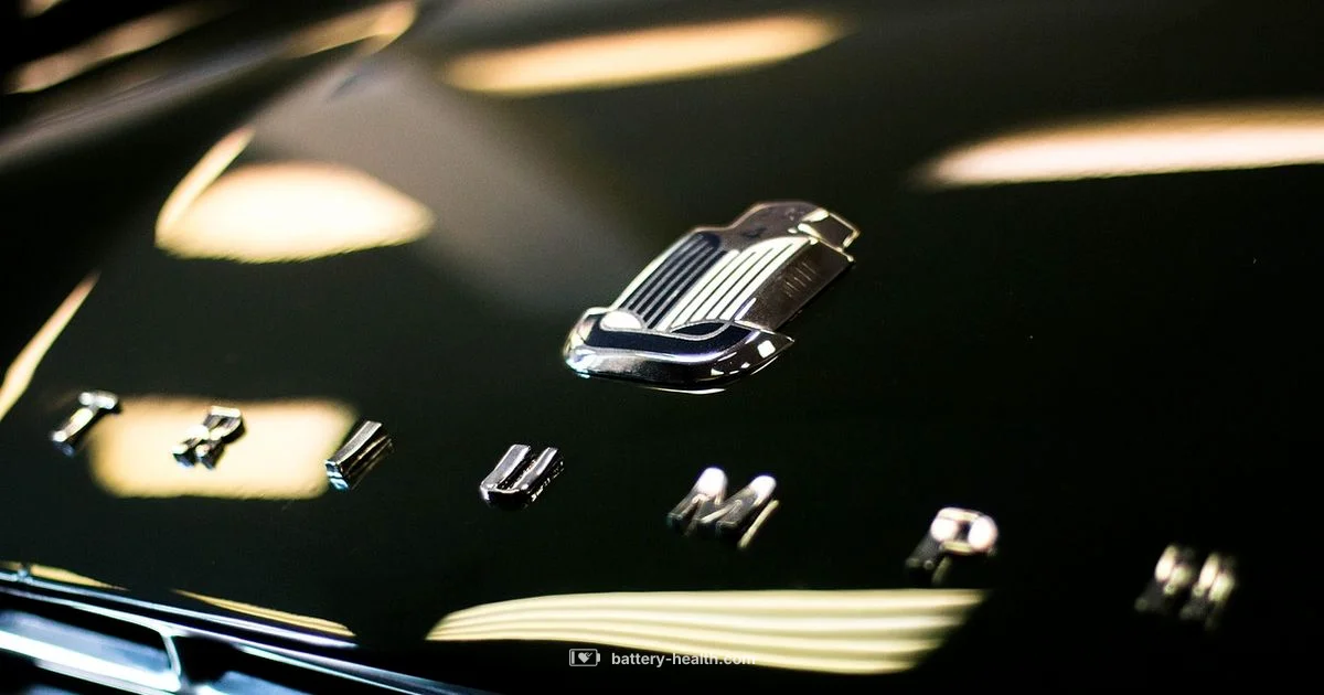 Battery Symbol Guide - Battery Health