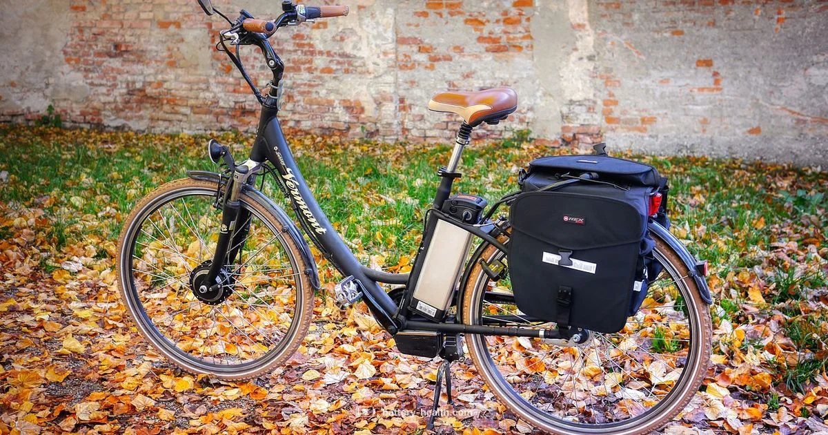 48V E Bike Battery Guide - Battery Health