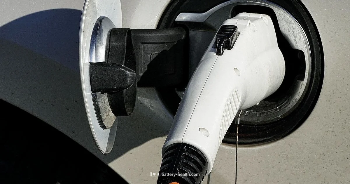 EV Battery Basics - Battery Health