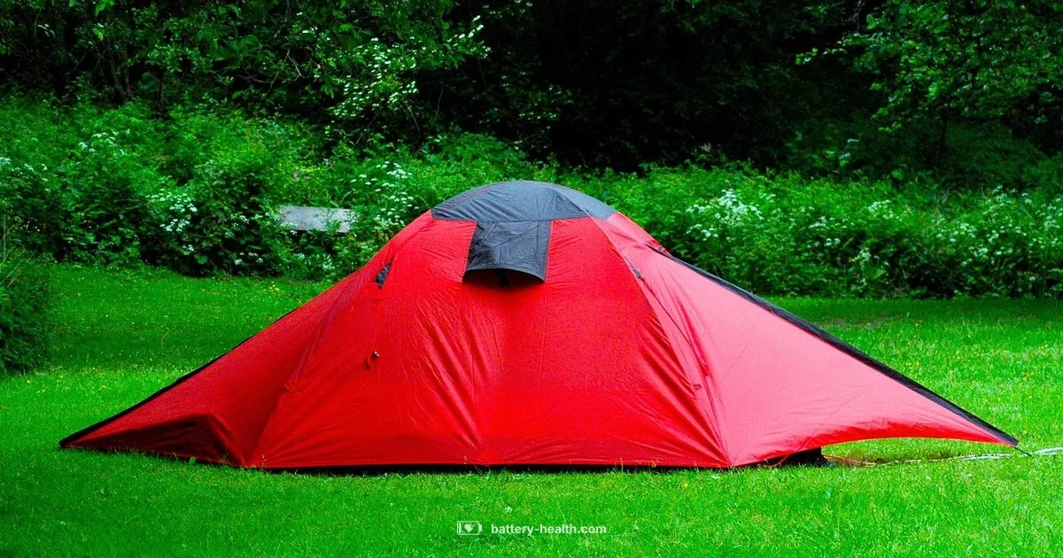 Portable Heater Battery - Battery Health