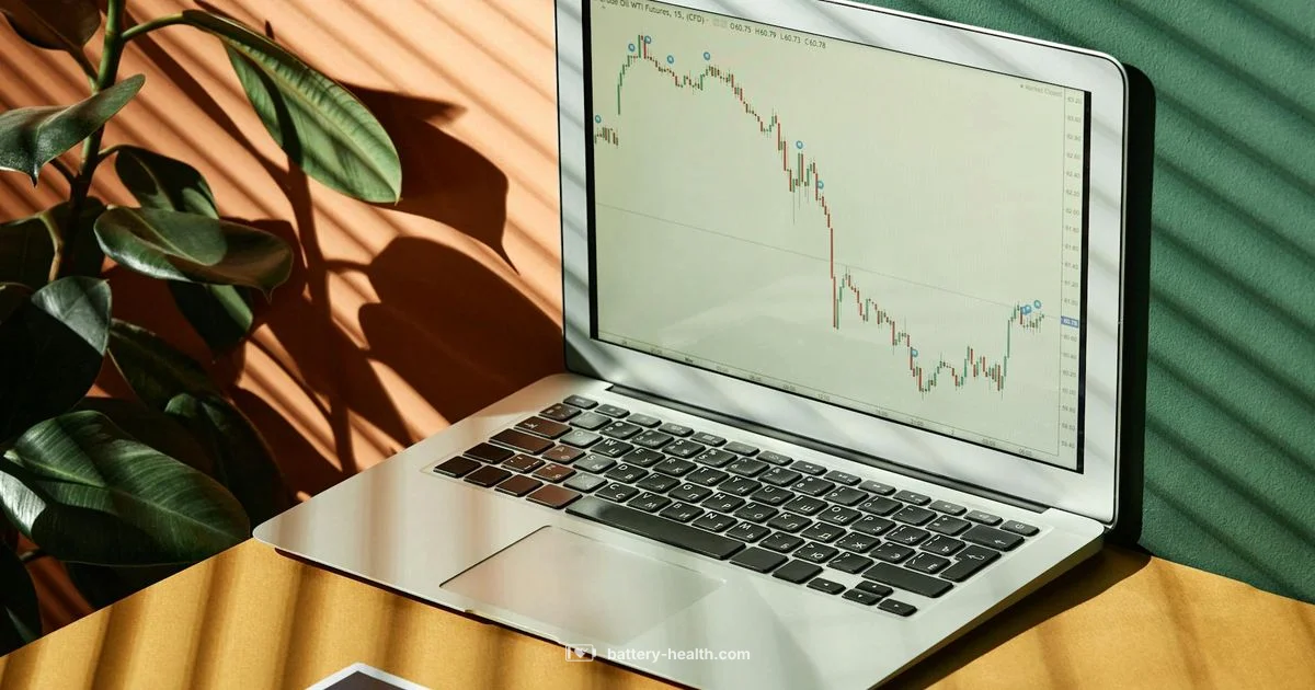 Battery Report Snapshot - Battery Health