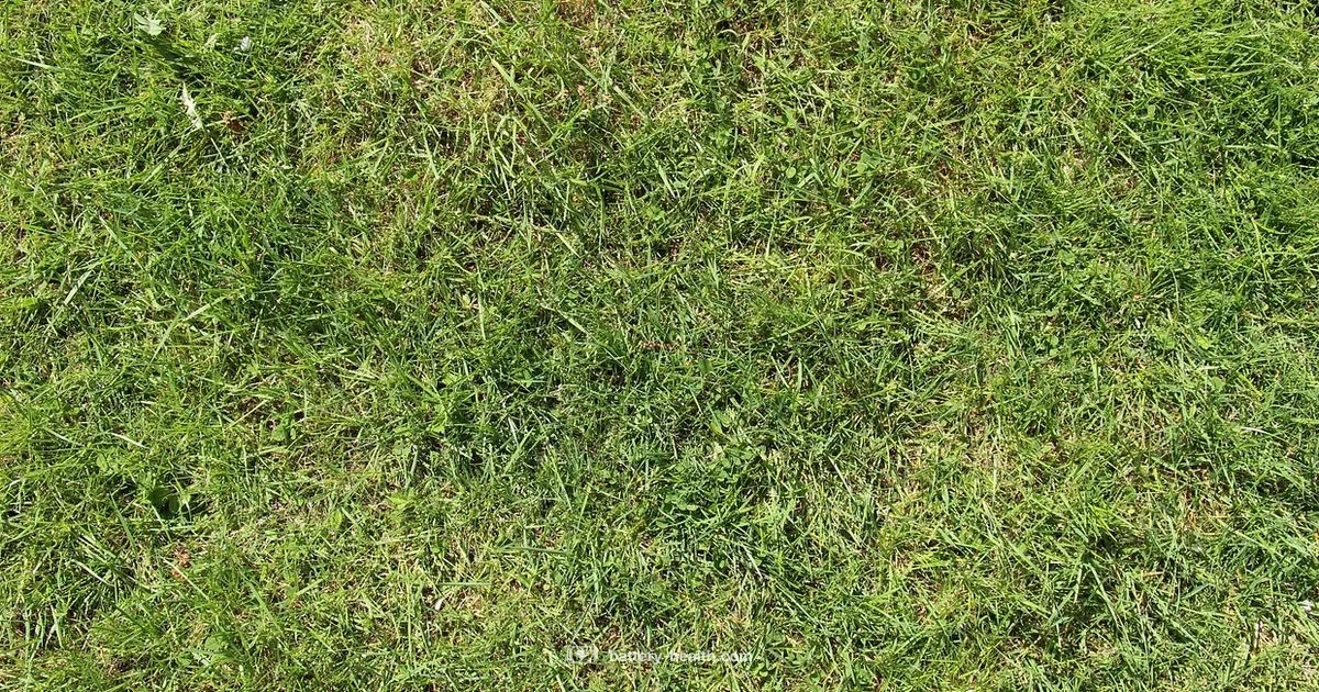 Cordless Mower Power - Battery Health