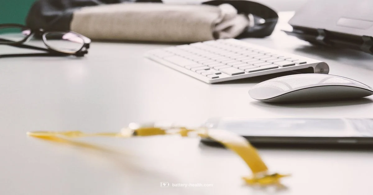 3V Battery Basics - Battery Health