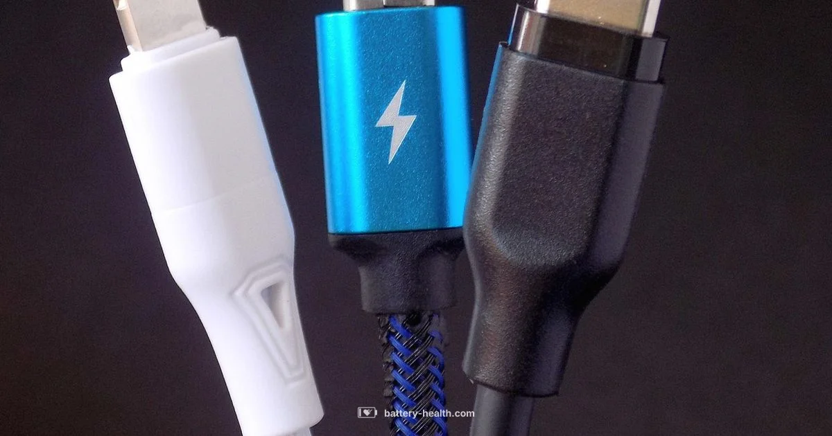 Battery to USB - Battery Health