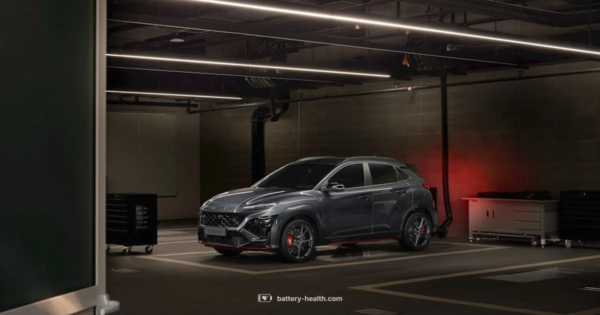 Car Battery Charge - Battery Health