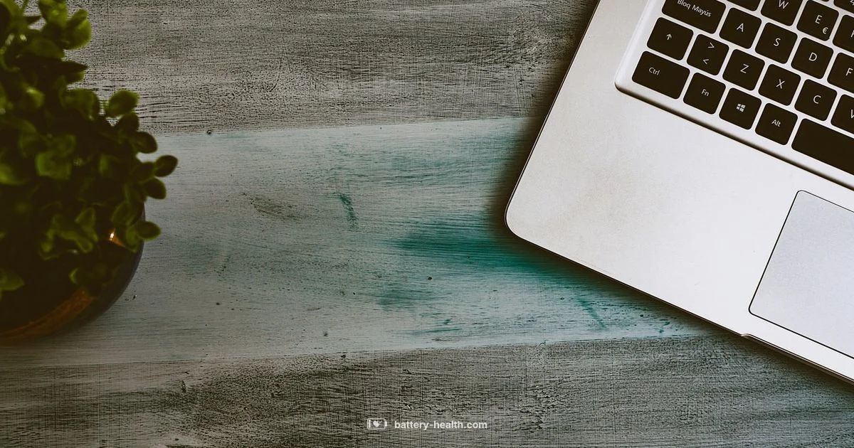 Battery Powered Fans Battery Powered Fans - Battery Health