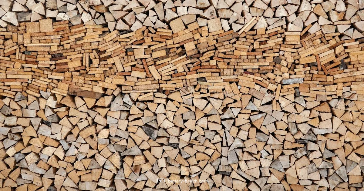 Battery with Inverter - Battery Health