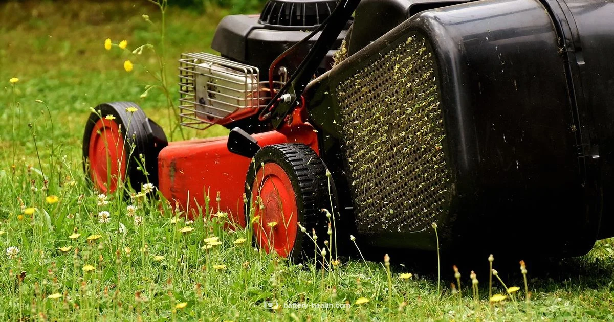 Cordless Lawn Power - Battery Health