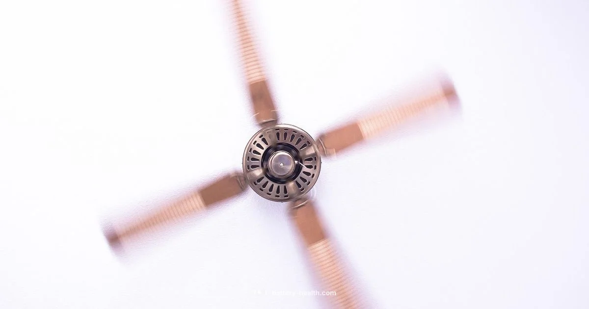 Battery Powered Ceiling Fan - Battery Health