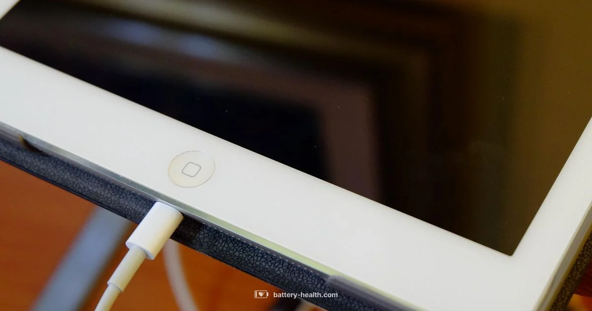 iPad Battery Health