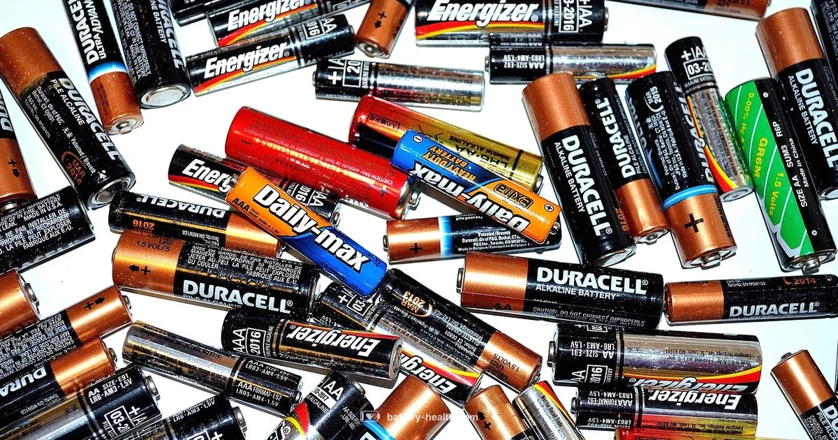 Safe Battery Disposal - Battery Health