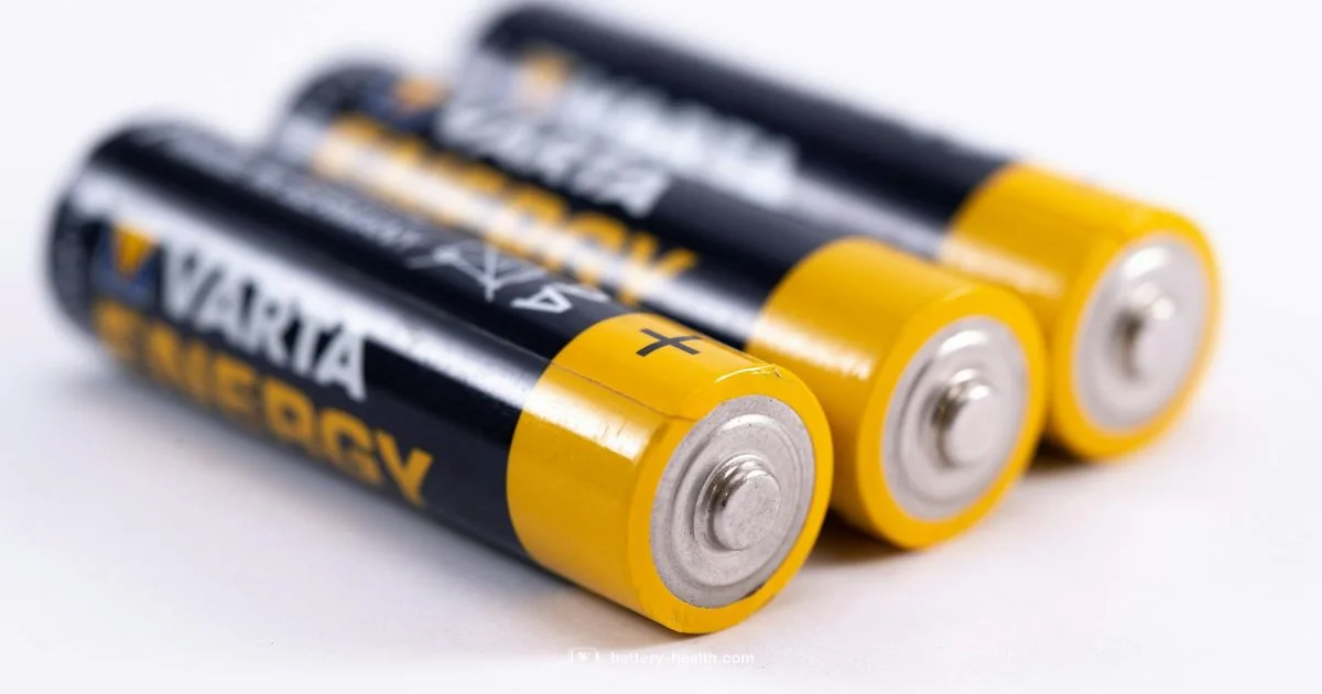 Plastic Safety Guide - Battery Health