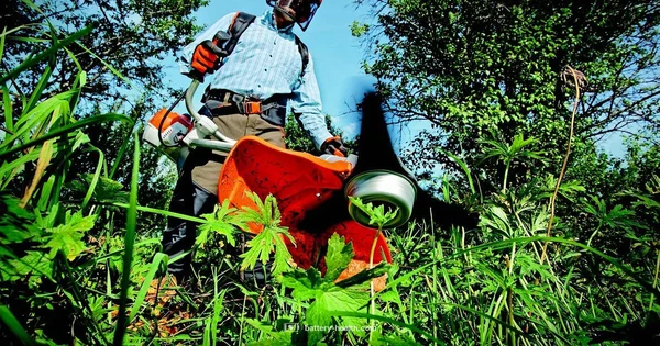 Cordless Grass Trim Guide - Battery Health