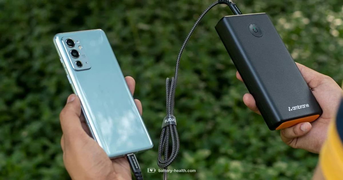 Portable Power - Battery Health