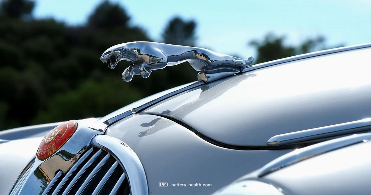 Battery vs Starter - Battery Health