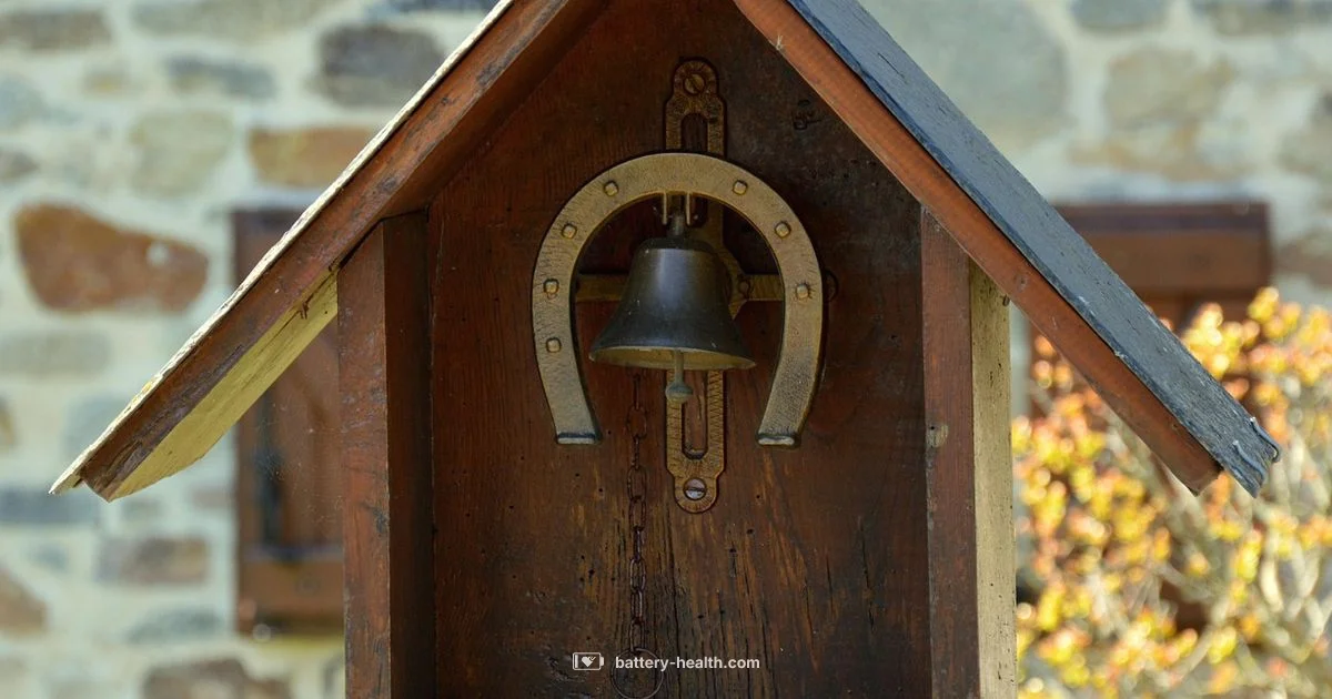 Ring Battery Plus Ring Battery Plus - Battery Health