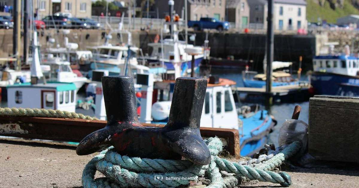 Maritime Battery Build - Battery Health