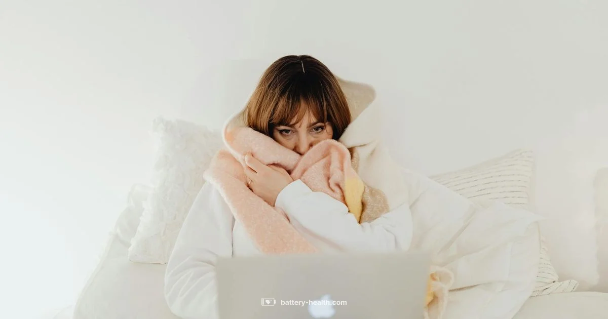 Heat Blanket Power - Battery Health