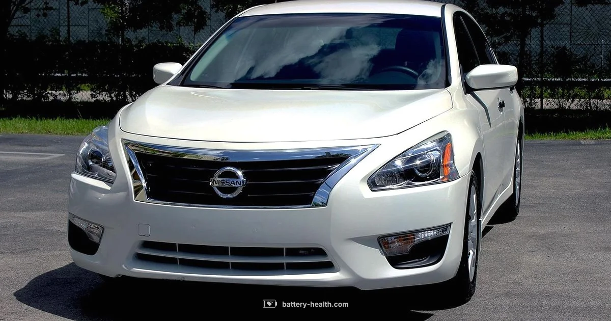 Altima Battery Guide - Battery Health
