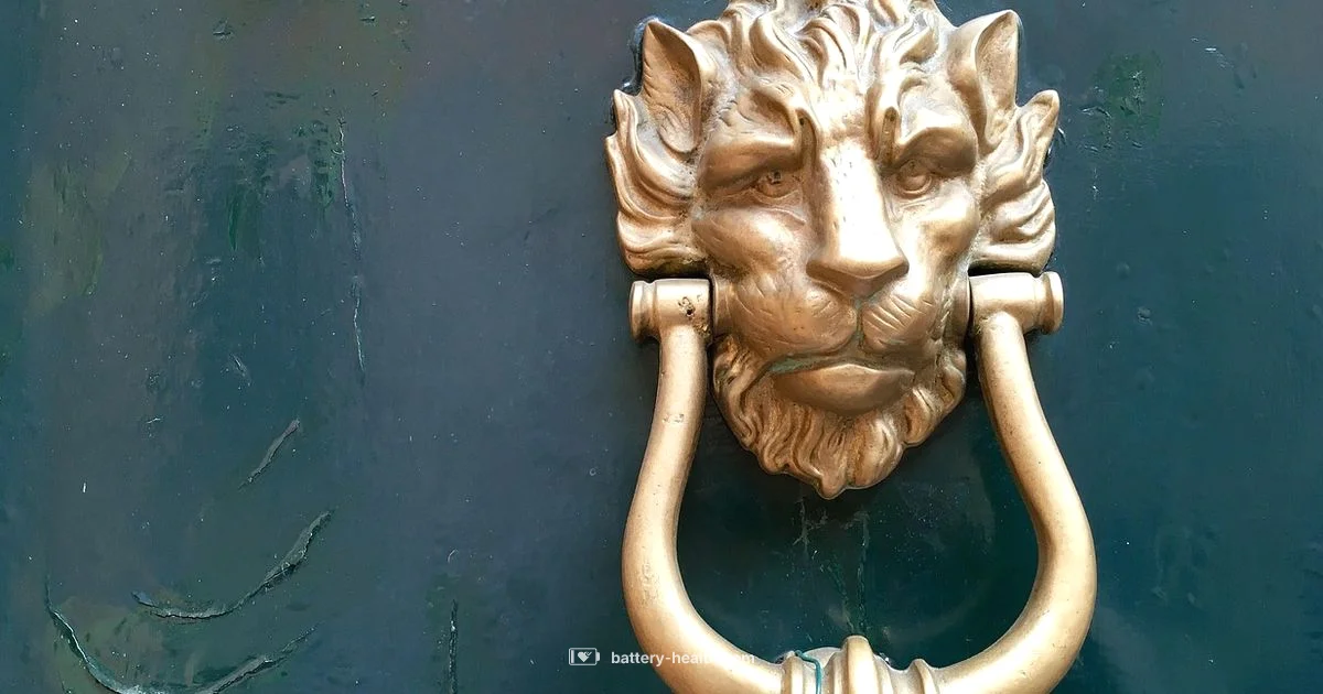 Ring Doorbell Battery Guide - Battery Health