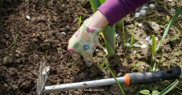 Best Battery Weed Eater - Battery Health