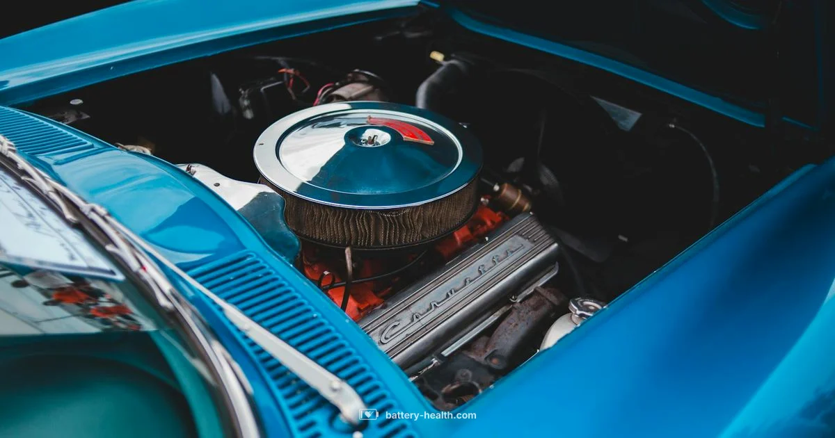 Group 24 Battery Guide - Battery Health