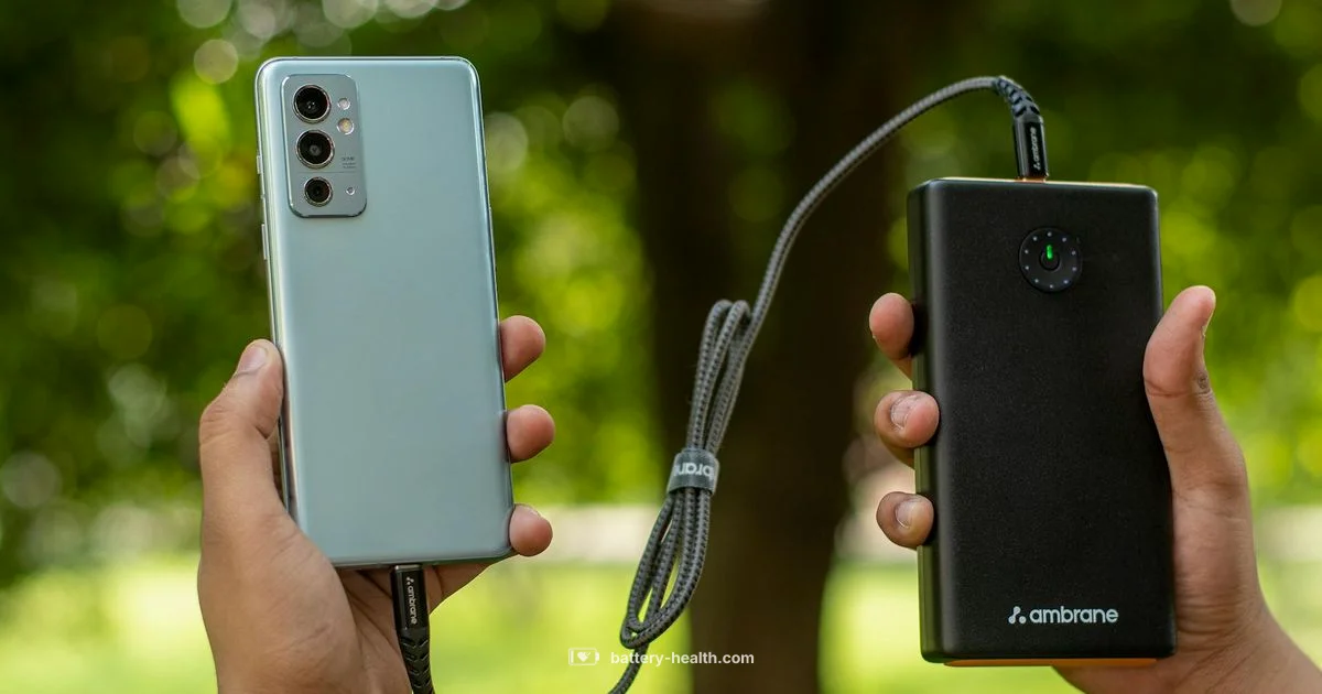 Battery Simple Defined Battery Simple Defined - Battery Health