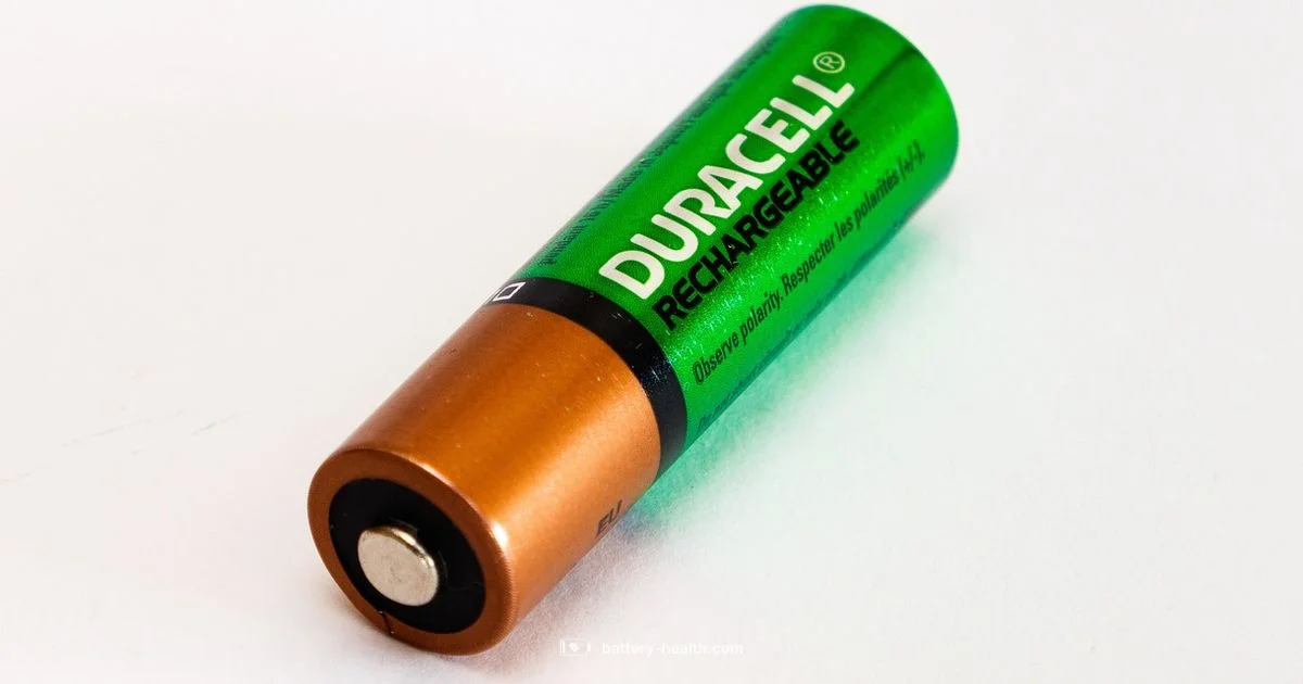 Battery Maintainer Safety - Battery Health